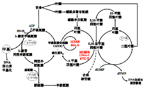 0033990威尼斯(中国)有限公司 -Best Of Best