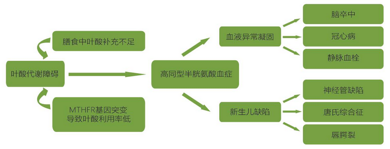 0033990威尼斯(中国)有限公司 -Best Of Best
