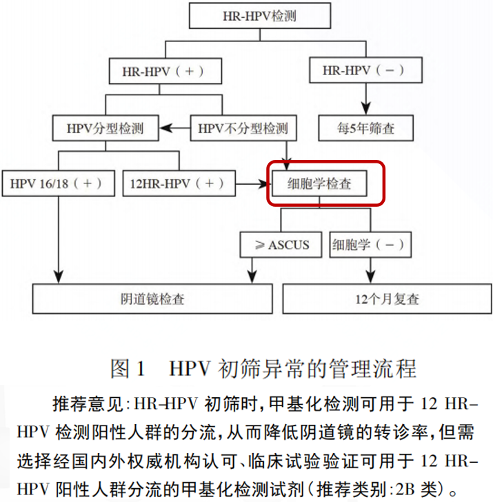 0033990威尼斯(中国)有限公司 -Best Of Best